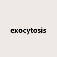 exocytosis是什么意思