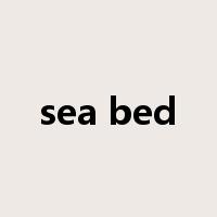 sea bed是什么意思