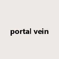 portal vein是什么意思