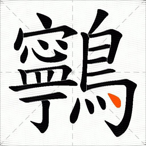 鸋