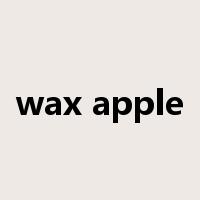 wax apple是什么意思