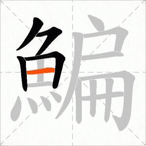 鯿