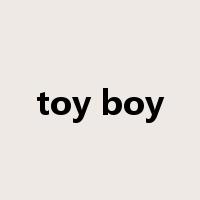 toy boy是什么意思
