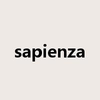 sapienza是什么意思