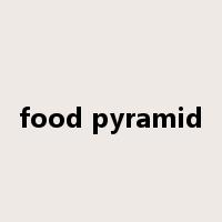 food pyramid是什么意思