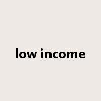 low income是什么意思
