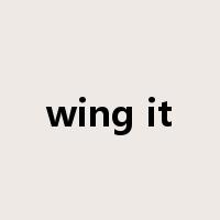 wing it是什么意思