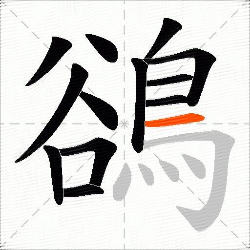 鵒