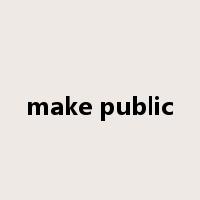 make public是什么意思