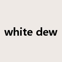 white dew是什么意思