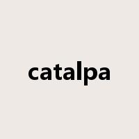 catalpa是什么意思