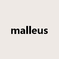 malleus是什么意思