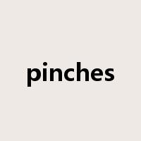 pinches是什么意思