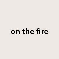 on the fire是什么意思