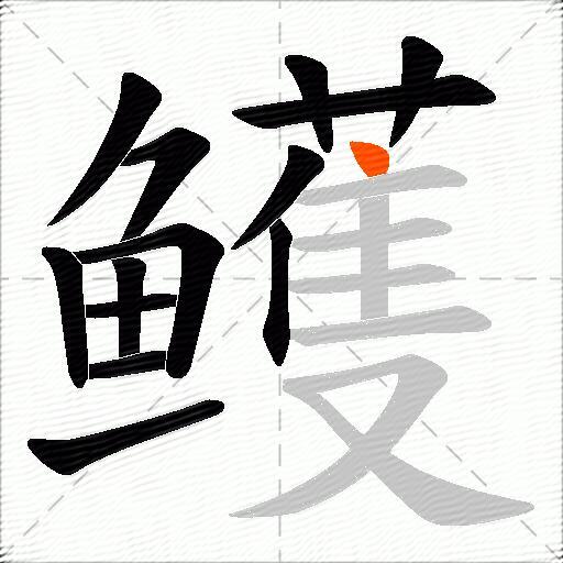 鳠