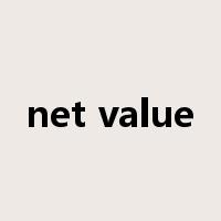 net value是什么意思
