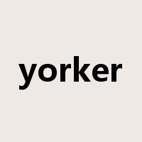yorker是什么意思