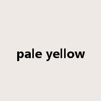 pale yellow是什么意思