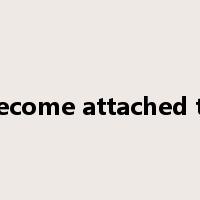 become attached to是什么意思