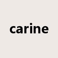 carine是什么意思