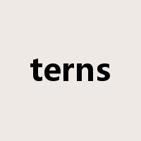 terns是什么意思
