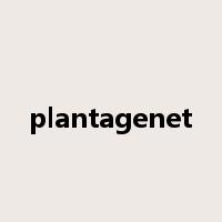 plantagenet是什么意思