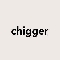 chigger是什么意思