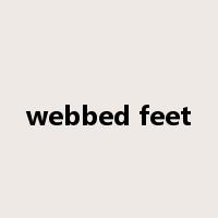 webbed feet是什么意思