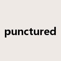 punctured是什么意思