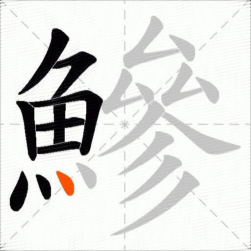 鰺