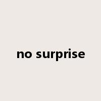 no surprise是什么意思