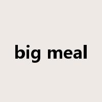 big meal是什么意思