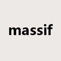 massif是什么意思