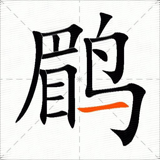 鹛