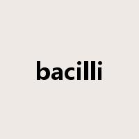 bacilli是什么意思