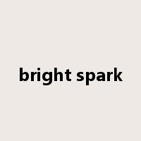 bright spark是什么意思