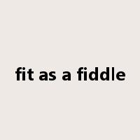 fit as a fiddle是什么意思
