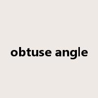 obtuse angle是什么意思