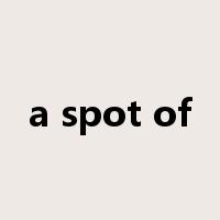 a spot of是什么意思