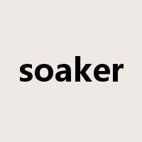 soaker是什么意思