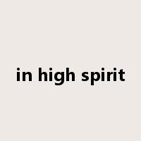 in high spirit是什么意思