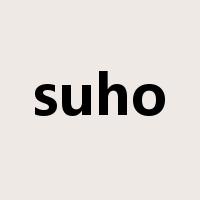 suho是什么意思