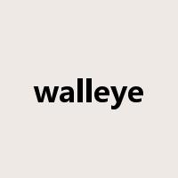 walleye是什么意思