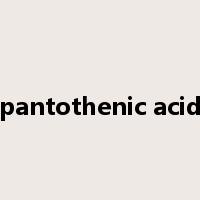 pantothenic acid是什么意思