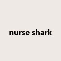 nurse shark是什么意思
