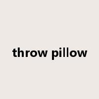 throw pillow是什么意思