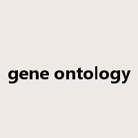 gene ontology是什么意思