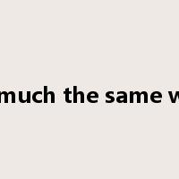 in much the same way是什么意思