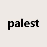 palest是什么意思