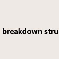 work breakdown structure是什么意思